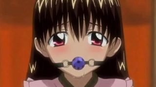 Lesbian BDSM Hentai
